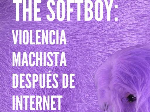 Espacio Vías acoge este viernes el proyecto audiovisual The Sotfboy