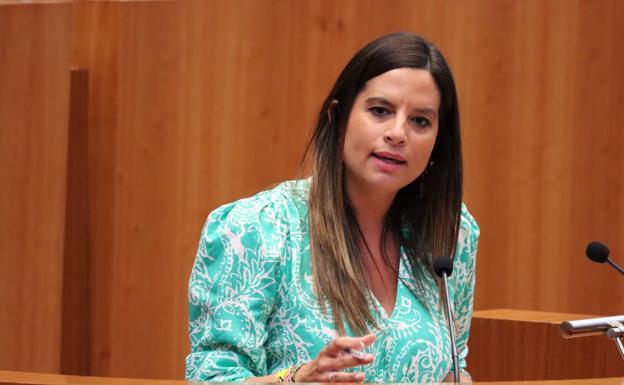 El PSOE reclama la dimisión de Isabel Blanco por «mentir» sobre los datos de residencias al inicio de la pandemia