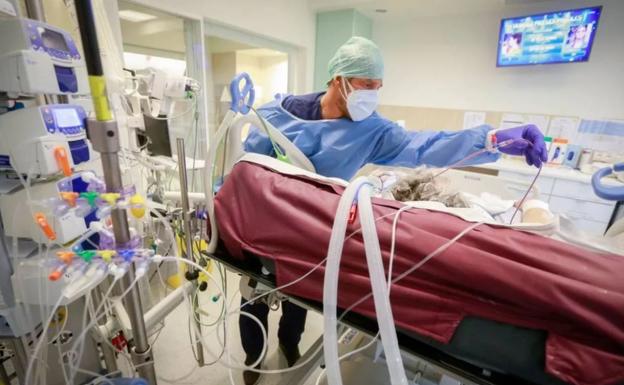 Dos nuevas muertes por covid-19 y la caída del índice de transmisión marcan la pandemia en León