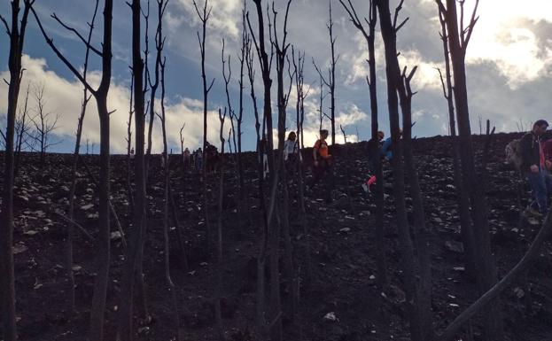 'Teleno libre' recorre la zona cero del incendio del campo de tiro del Teleno