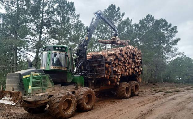El precio del gas y la energía disparará el consumo de pellet y biomasa un 40% este invierno en León