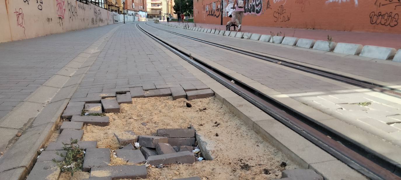 El PP responsabiliza a Sánchez por la «paralización» del travía y los trenes FEVE en León