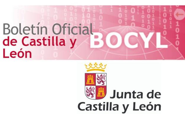 El Bocyl logra el sobresaliente del Observatorio de Accesibilidad, dependiente del Estado