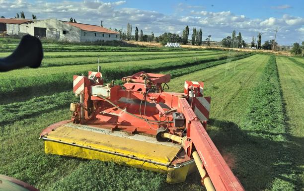 La subida del precio de la leche de vaca impulsa a la alfalfa