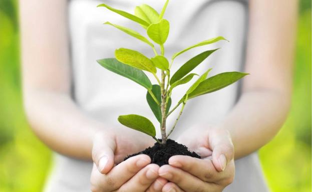 Parkinson Astorga lanza la iniciativa 'Un árbol por el Parkinson'