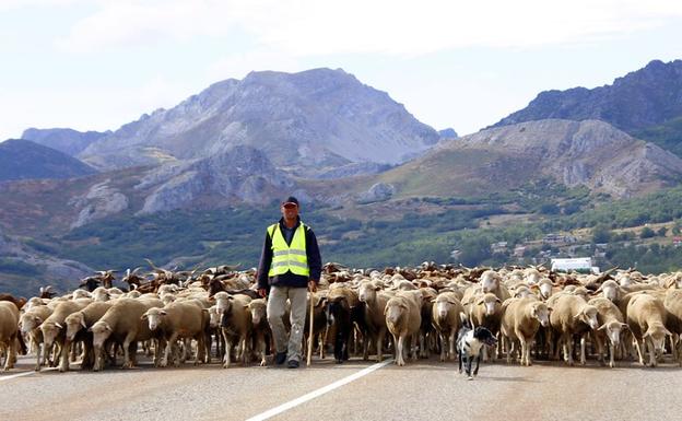 La FAO reconoce a las montañas de León como Sistema Importante del Patrimonio Agrícola Mundial