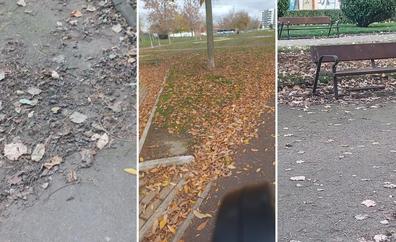 Ciudadanos exige la limpieza de las hojas secas de otoño en las calles y parques de León