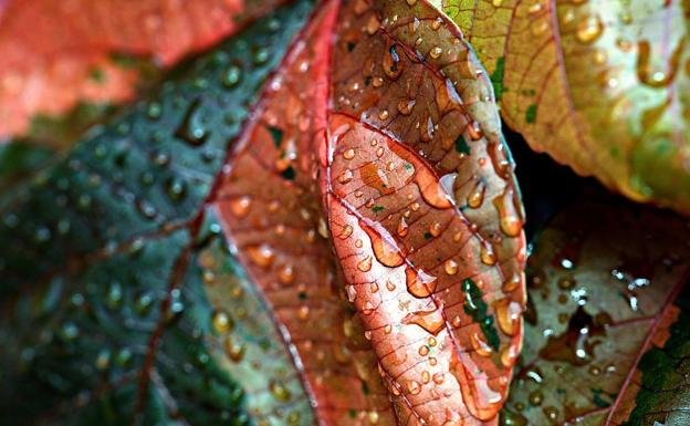 Las precipitaciones se mantienen en el conjunto de la provincia en la jornada de este miércoles