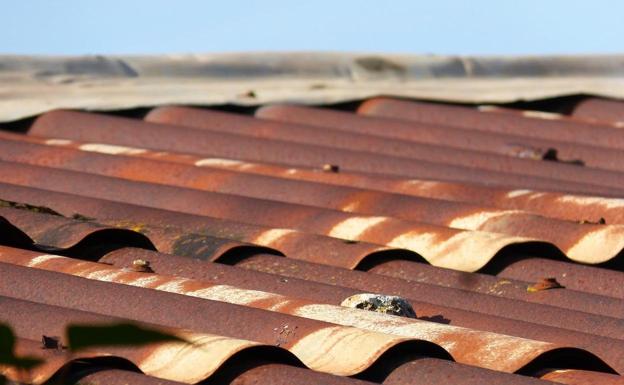 Industria concede 1,7 millones en subvenciones a 93 solicitantes para la retirada segura de cubiertas ligeras con amianto