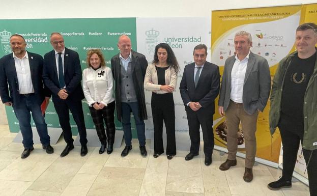 La producción de castaña mueve 30 millones de euros al año en la economía agrícola del Bierzo