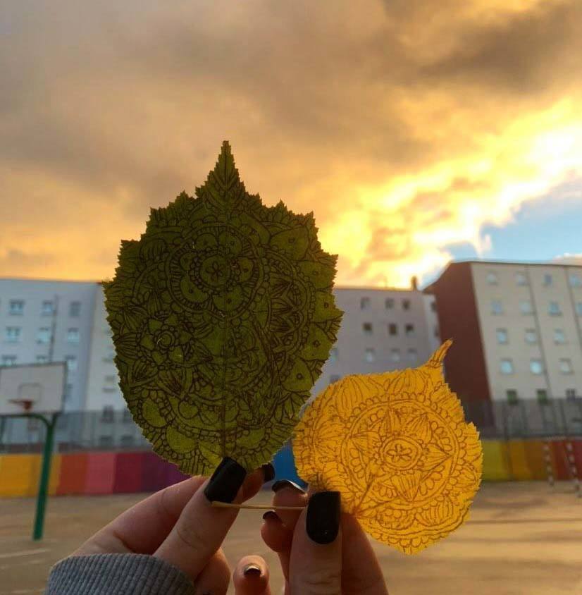 Las hojas pintadas del otoño
