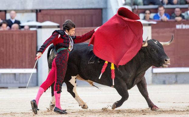 Los Premios Castilla y León incorporan la nueva modalidad de 'Tauromaquia'