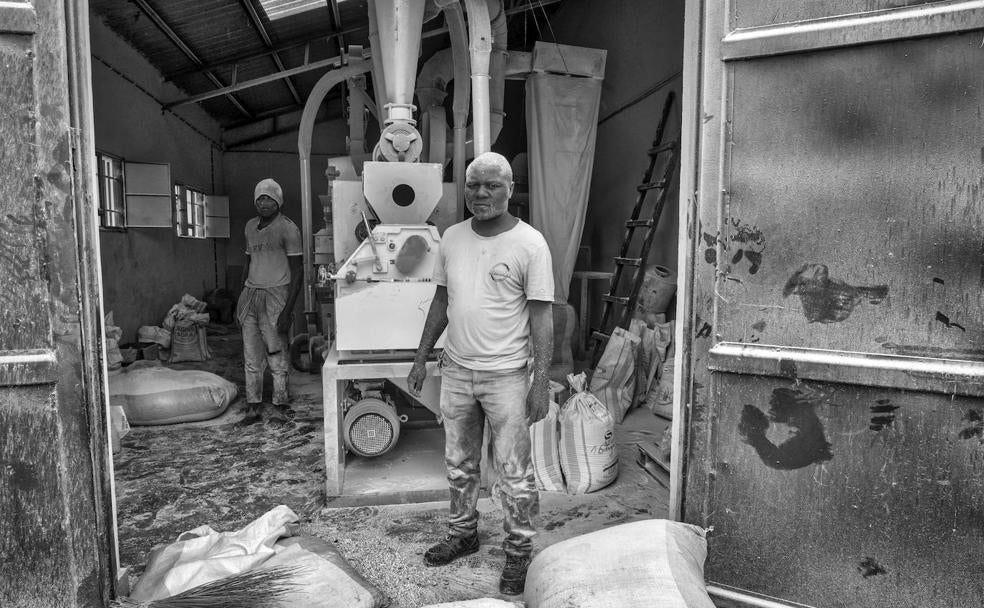 Azúcar para sobrevivir en el infierno de Rubare