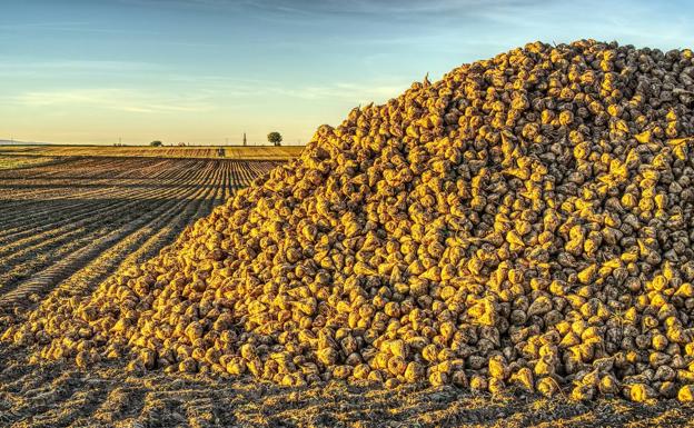 Asaja pide que la ayuda de 300 euros por hectárea llegue también a los agricultores de Valduerna