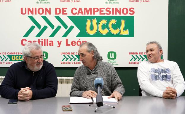 UCCL advierte de que el sector del ovino está en la «UVI» ante el aumento de costes del 42%