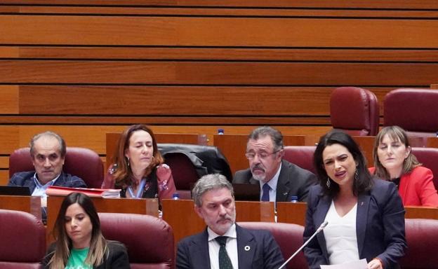 Veganzones denuncia que el Serla es un «capricho sindical» y Palomo (PSOE) le espeta que, «como buen fascista», no cree en la mediación