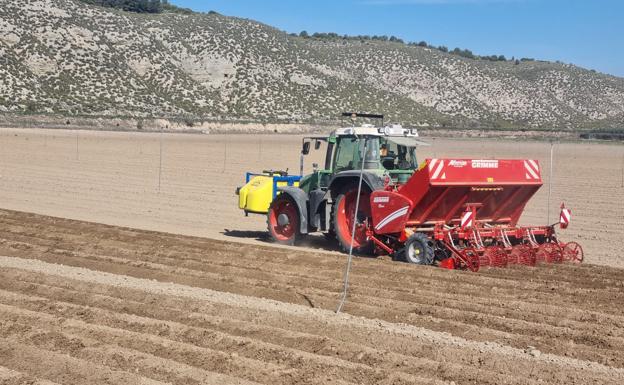 La agricultura representa el 7% del empleo regional con 65.800 personas