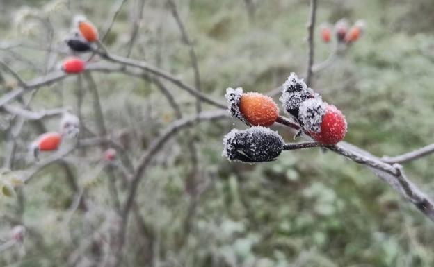 Las nevadas y bajas temperaturas ponen en riesgo amarillo a León en esta jornada