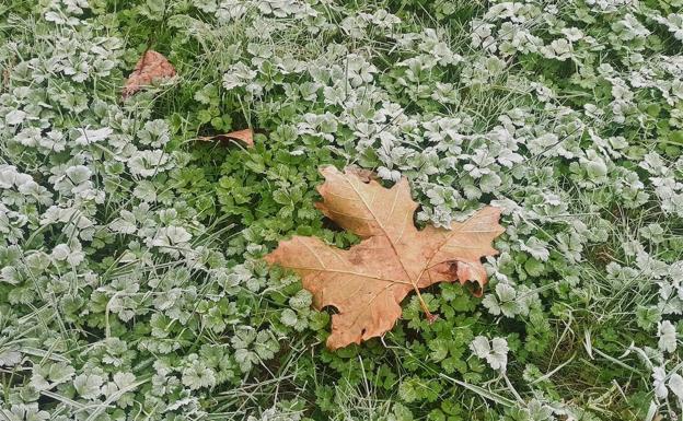 La estación de San Isidro marca el 'récord' de frío nacional con -10,3 grados