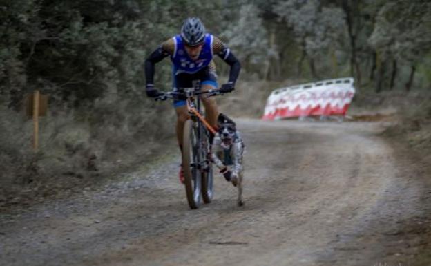 Un oro y una plata para Mushing Montaña Oriental en el Campeonato de España