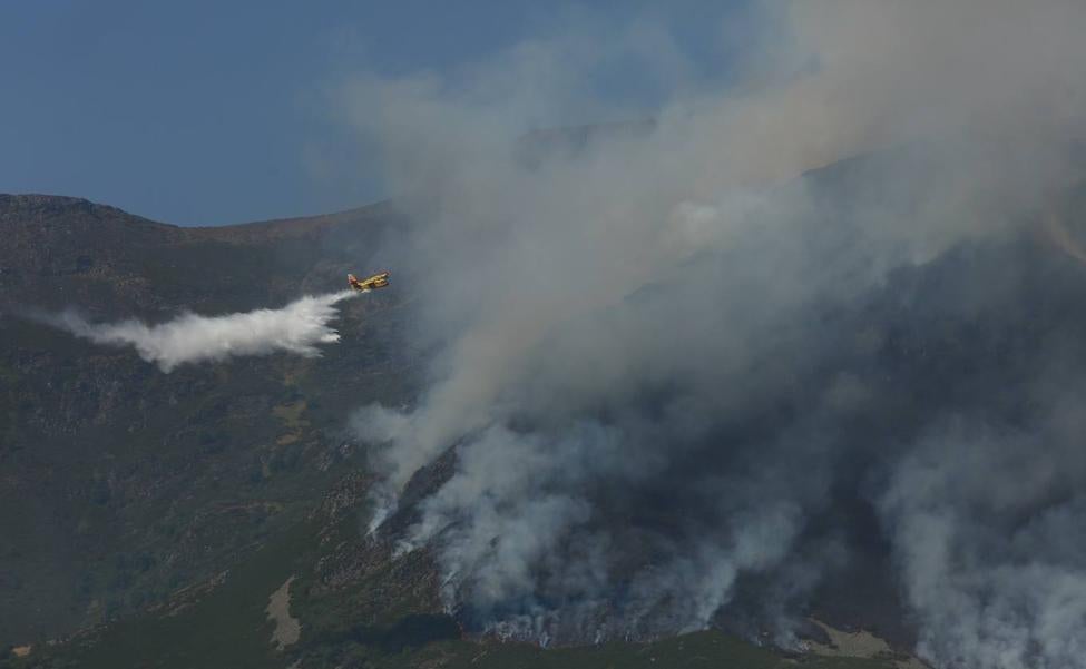 León, la provincia con más incendios de la comunidad en el año 2022 con 360 focos