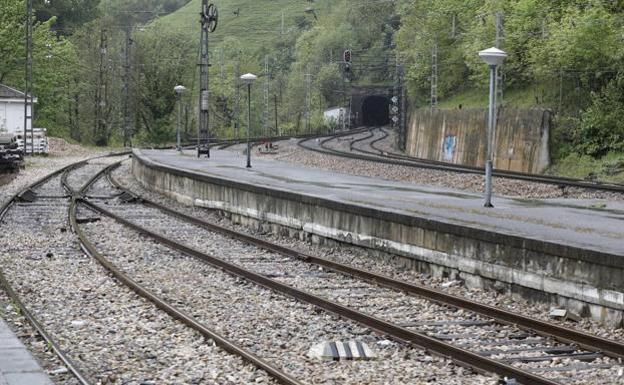 Se mantiene cerrada la conexión con Asturias por un mercancías que arrolló a una vaca en Santa Lucía