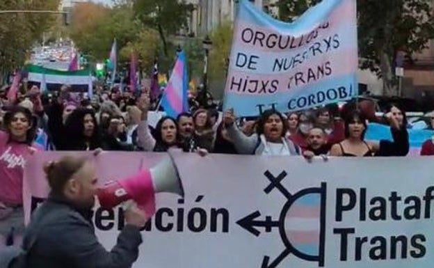 Los colectivos trans se manifiestan con el apoyo de Podemos en contra de los «recortes» del PSOE