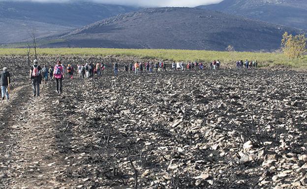La Asociación Teleno Libre denuncia que la Junta «olvida» contabilizar las hectáreas quemadas en el campo de tiro