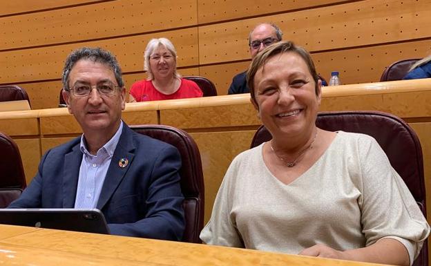 Los senadores leoneses del PSOE respaldan con su voto el proyecto de Ley del Deporte