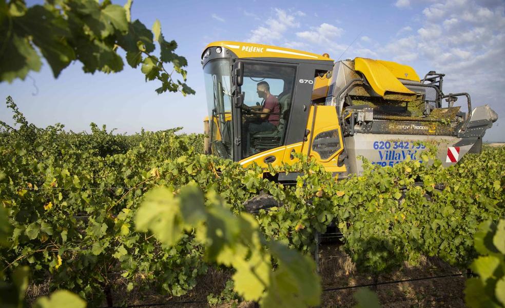 El sector vitivinícola aporta el 3,1% del PIB regional