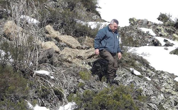 Parques Nacionales llega a un acuerdo de indemnización cinegética en los terrenos de la reserva de caza de Riaño