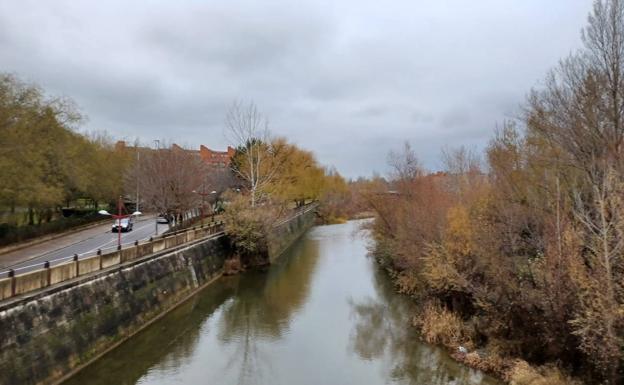 Ciudadanos reclama la limpieza del cauce del río Bernesga a su paso por León tras las intensas lluvias