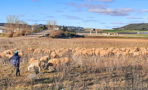 Publicada la lista de beneficiarios de las medidas agroambientales