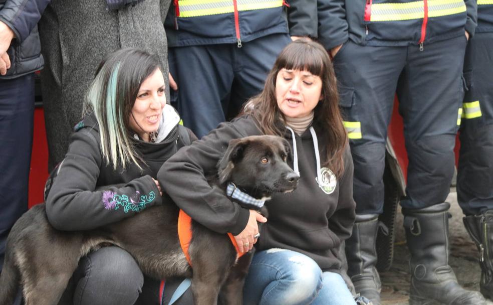 Bomberos de León con el bienestar animal