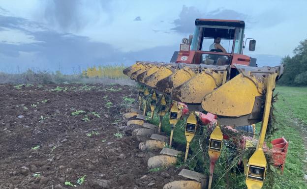 El paro agrario baja en 29 personas en diciembre en Castilla y León