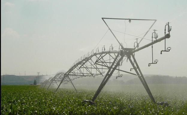 Agricultura invertirá este año 15,1 millones de euros en 11 actuaciones para la modernización de regadíos en León