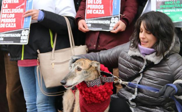 «Es imposible cuantificar cuántos perros en condiciones de maltrato hay en la provincia»