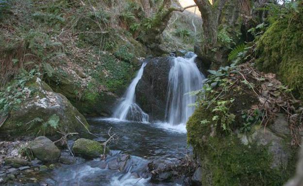 Conceyu País Llionés considera «innecesario» y «negativo» el proyecto en el río Cabrera