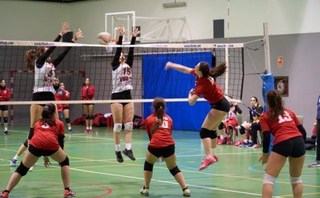 Voleibol y balonmano centran las actividades deportivas municipales este sábado