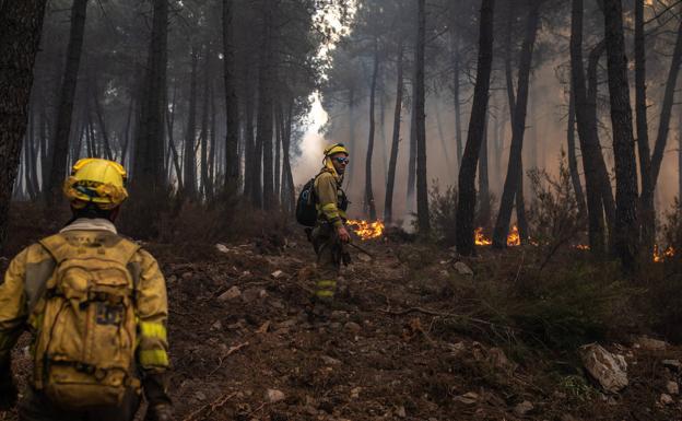 CSIF denuncia que la Junta no ha presentado el plan anual de extinción de incendios