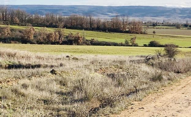 La Plataforma para la Defensa de la Sobarriba ve irregularidades en el macroproyecto fotovoltáico Alba1