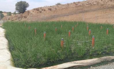 Salen a licitación tres depuradoras de aguas residuales en Espinosa de la Ribera, Urdiales del Páramo y Toral de los Guzmanes