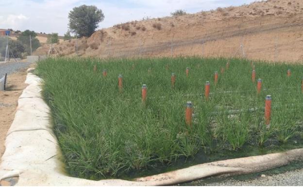 Salen a licitación tres depuradoras de aguas residuales en Espinosa de la Ribera, Urdiales del Páramo y Toral de los Guzmanes