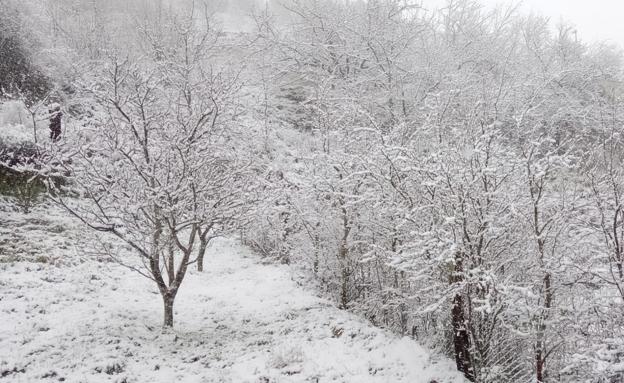 La Junta decalara la alerta por fuertes rachas de viento y nevadas en toda la provincia de León