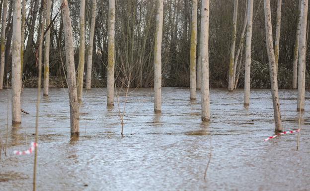 El río Tuerto se desborda a la altura de la localidad de San Félix de la Vega