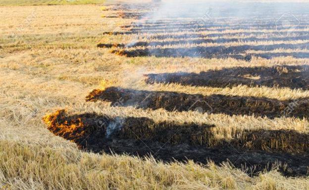 Sin normativa clara para las quemas agrícolas