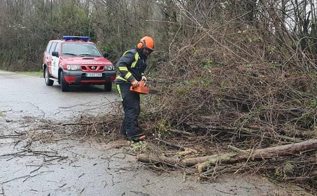 Los Bomberos de Ponferrada retiran ramas y un árbol con riesgo de caída provocado por las intensas rachas de viento