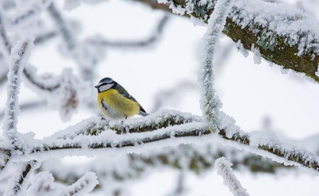 El precio de la luz en León repunta en el día más frío del invierno hasta los 71,23 euros/MWh