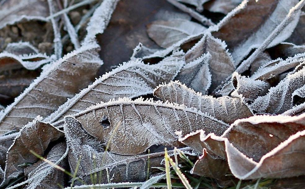 Continúa la alerta amarilla por bajas temperaturas en León este martes