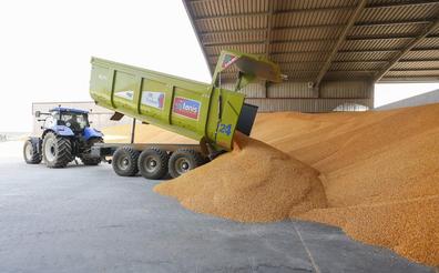 León marca a la baja los cereales, influida por los mercados internacionales